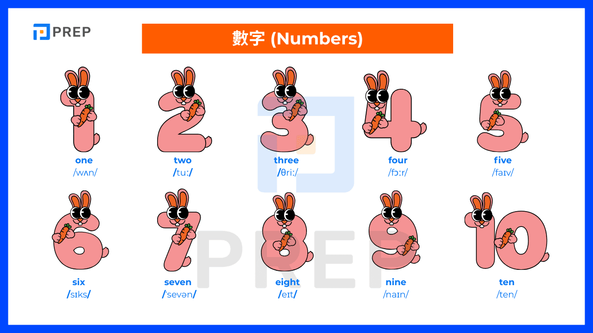 數字
